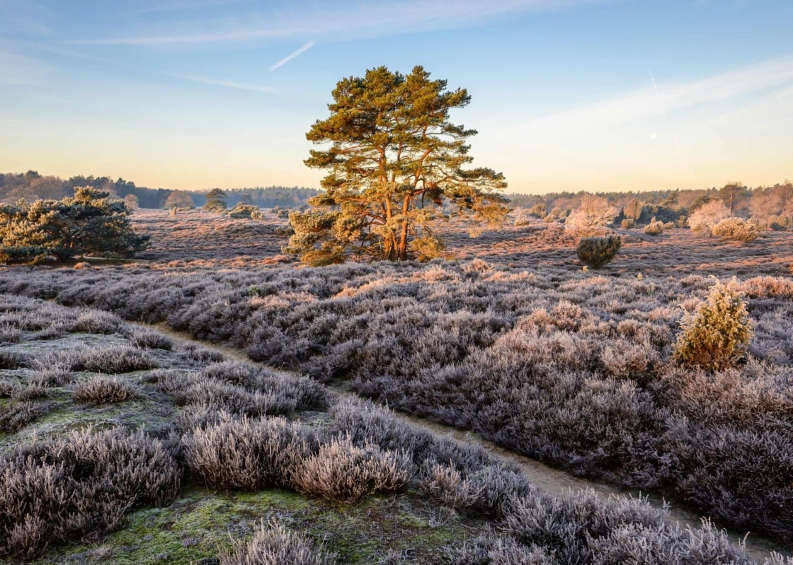 Wandelingen december