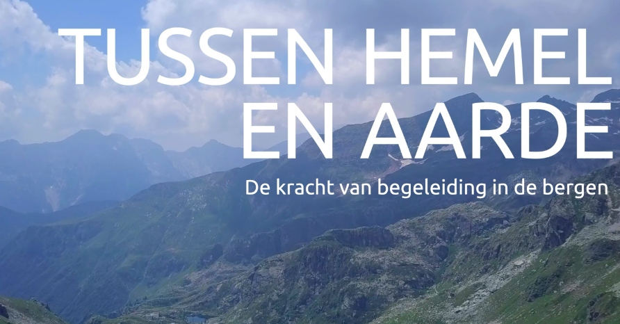 Leiderschapsreizen