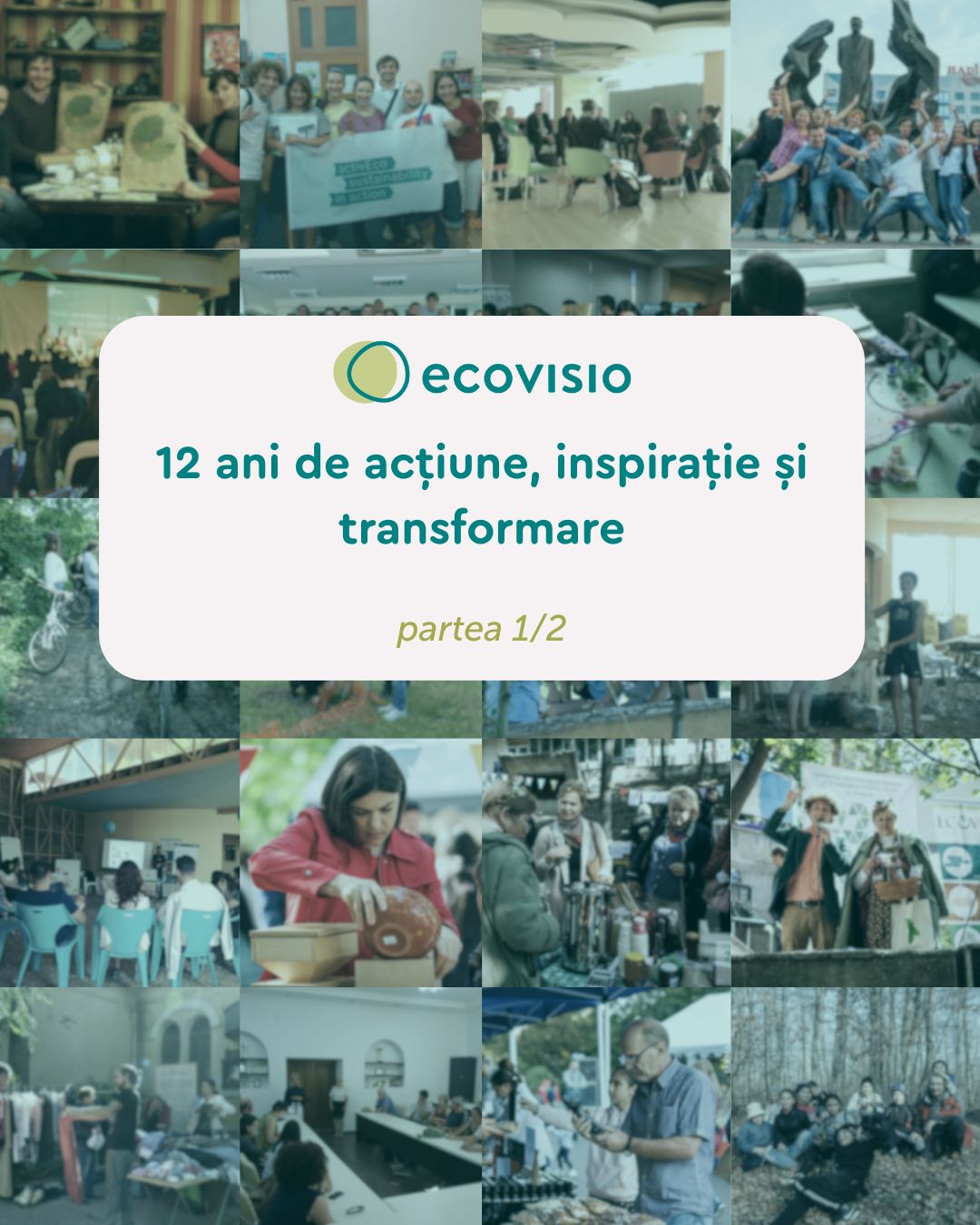 Визуал о первых 6 годах деятельности EcoVisio