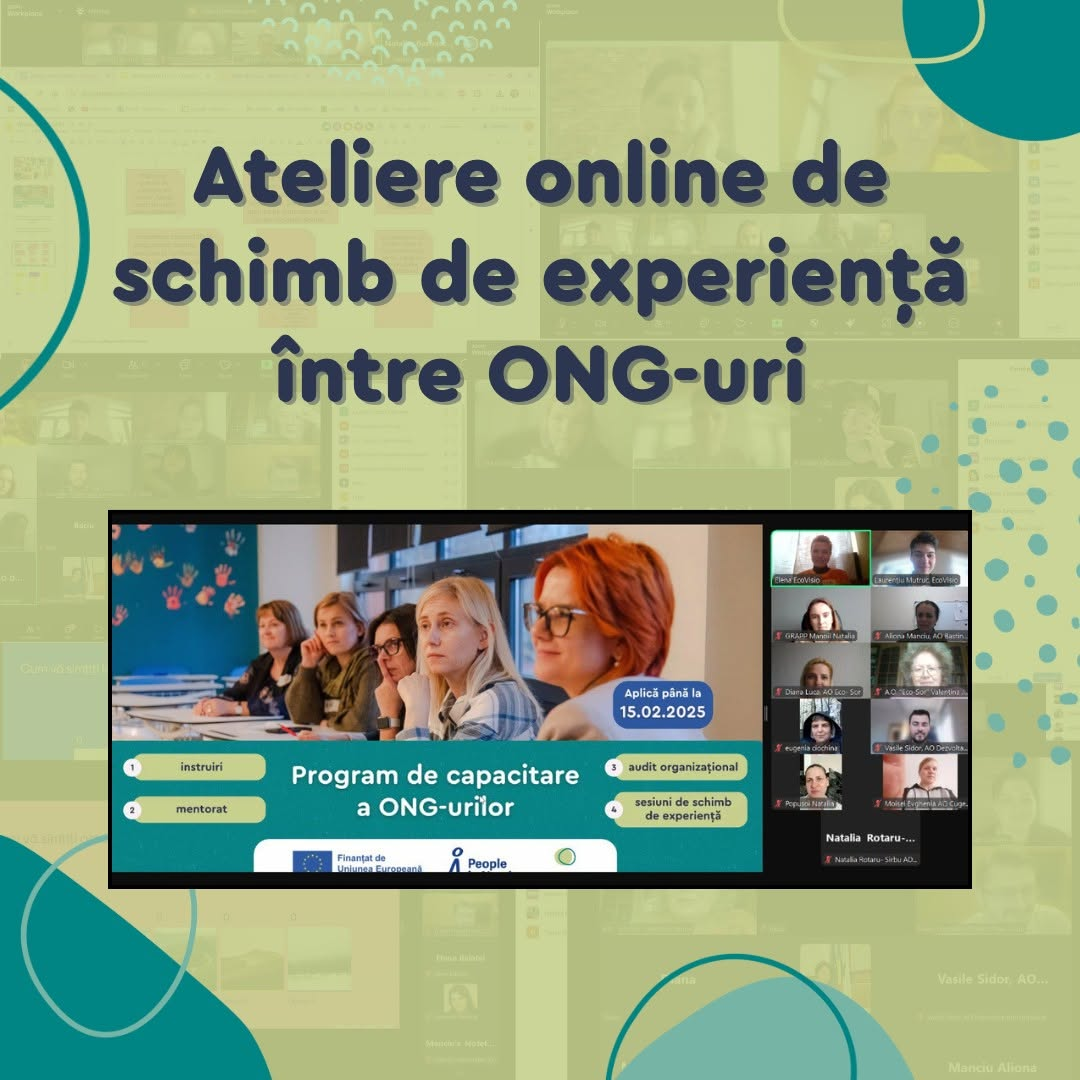 Визуал про обучение между НПО