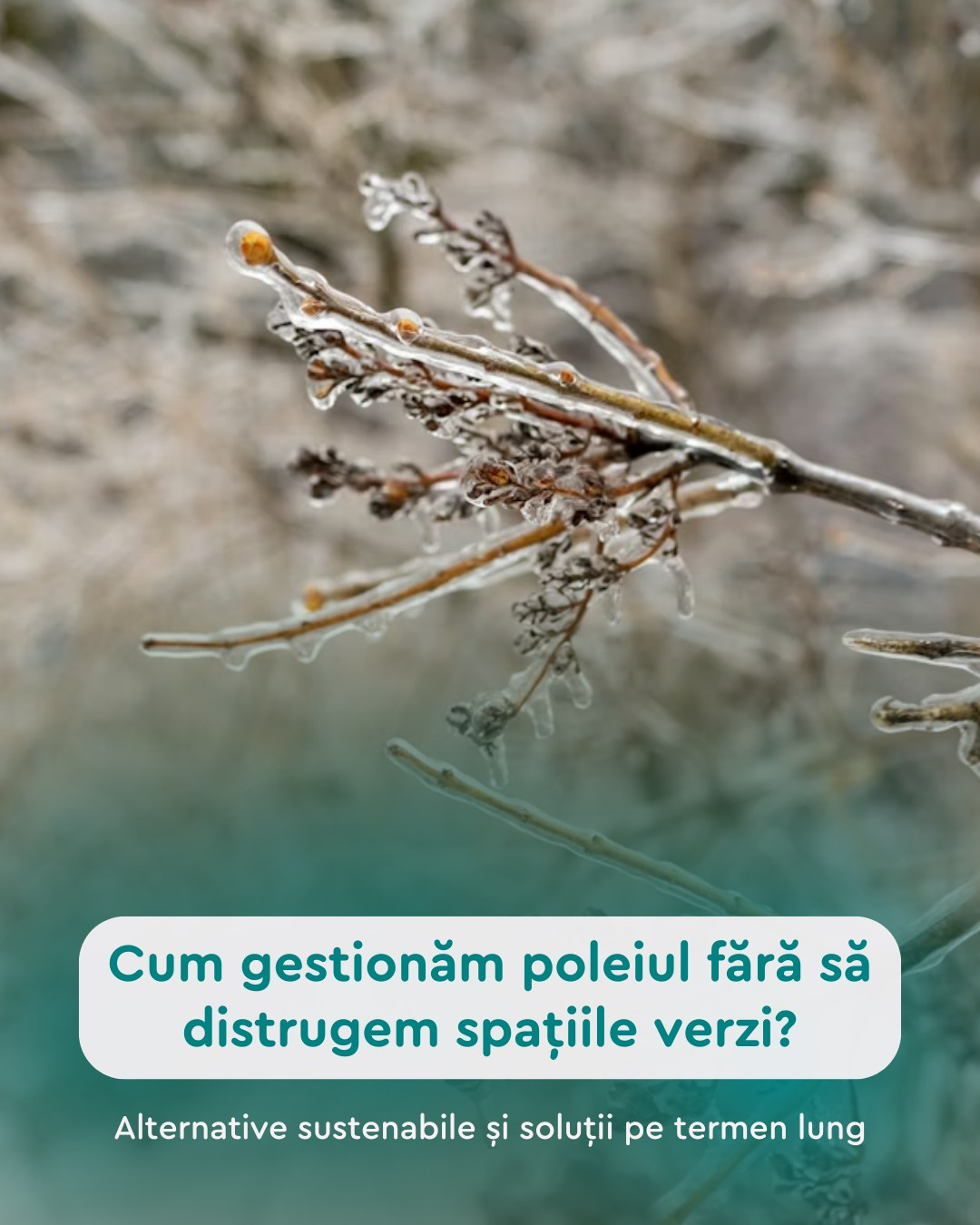 Vizual despre gestionarea poleiului