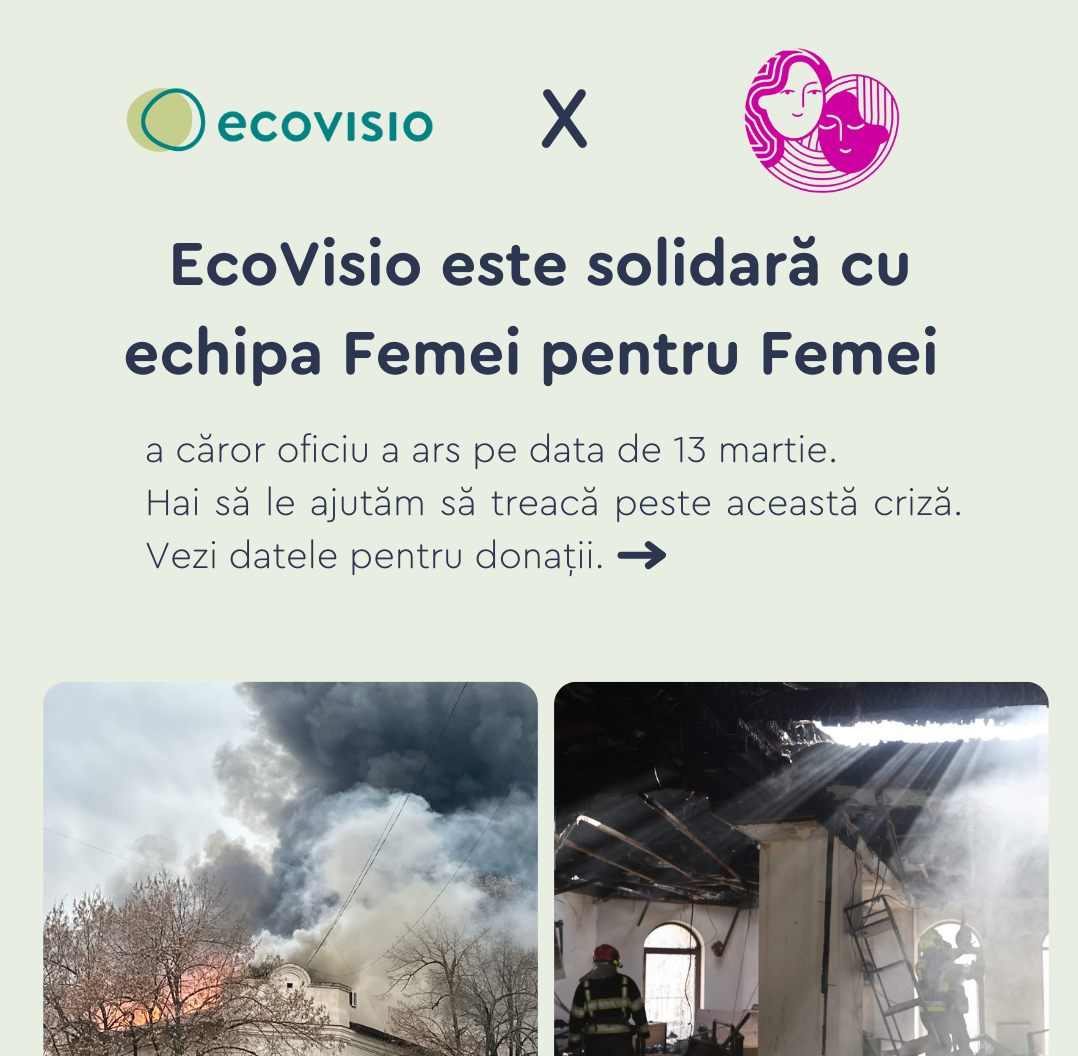 Визуал в знак солидарности с организацией Femei pentru Femei