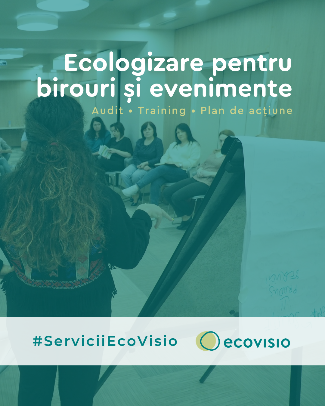 Vizual despre serviciile de ecologizare