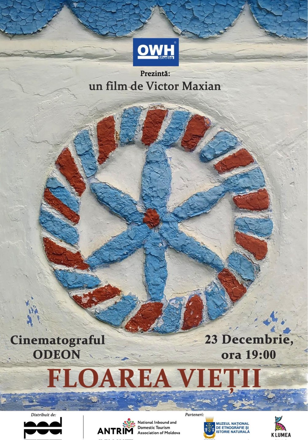 Poster for the film 