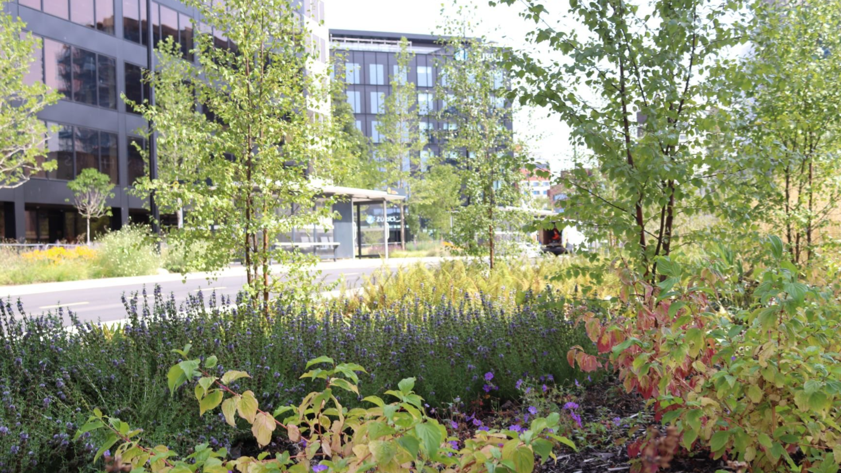 Fleming way footpath