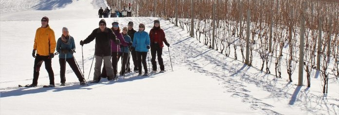 Skiing at the Vineyard