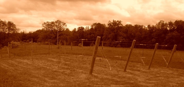 Ancient Greek Wine Vessel