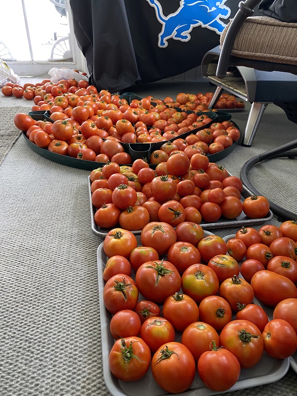 Ancient Greek Wine Vessel