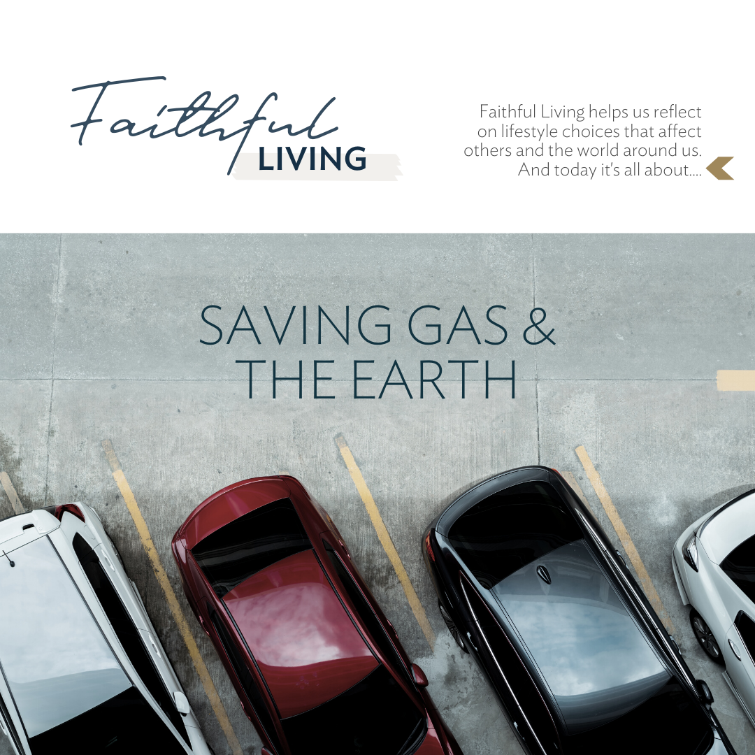 Reading Focus & Comprehension