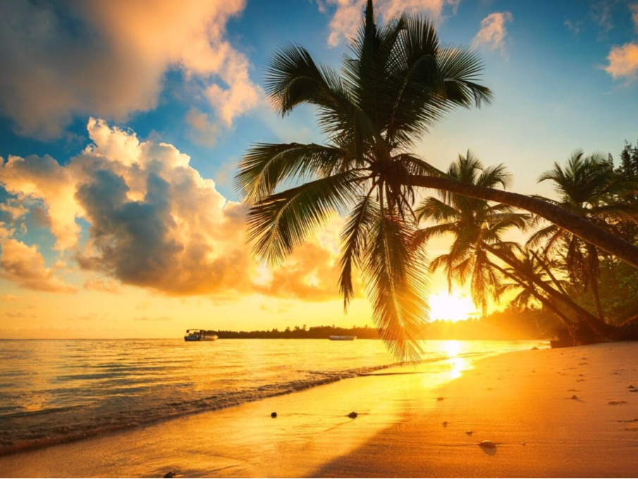 From Hanoi to Ho Chi Minh: Navigating the Labyrinth of Vietnam's Vibrant Landscape