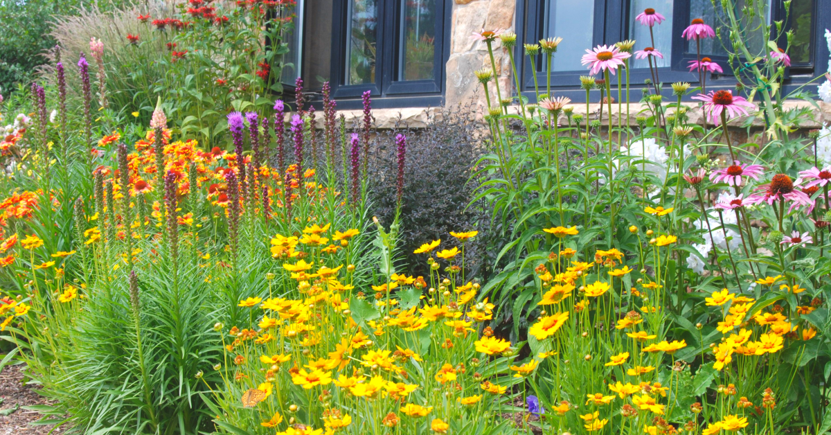 Create a Garden Plan for Year Round Color-A Plant Guide by Online ...