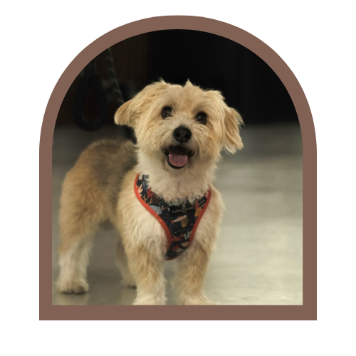 stay-organized-image