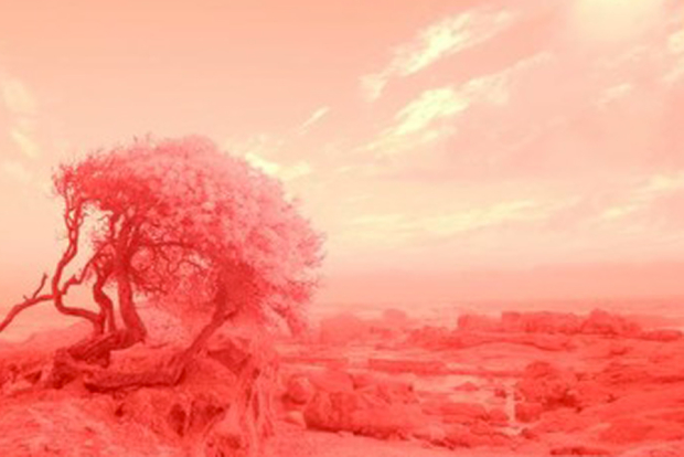 FICEP - Forum des Instituts Culturels Étrangers à Paris - Novembre 2017