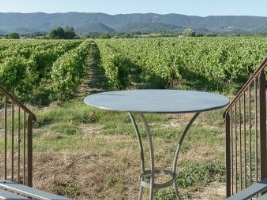 metal table on grass overlooking vineyard with moutains in the background