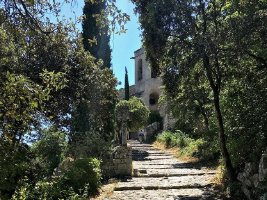 long sloping stone stairs lined with trees on the side of a hill leading to a building