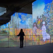 a person standing at a railing overlooking large room of illuminated paintings