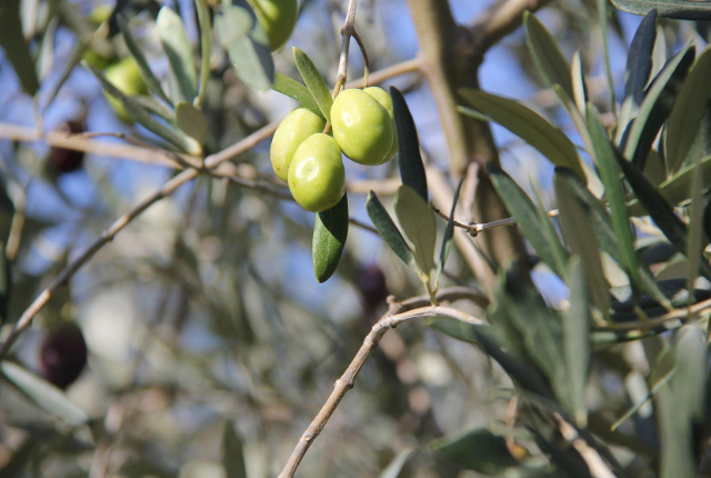 Perfectly Provence Travel Lifestyle Magazine