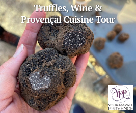 a person's hand holding two large black truffles: Truffles, Wine, and Provençal Cuisine Tour from Your Private Provence
