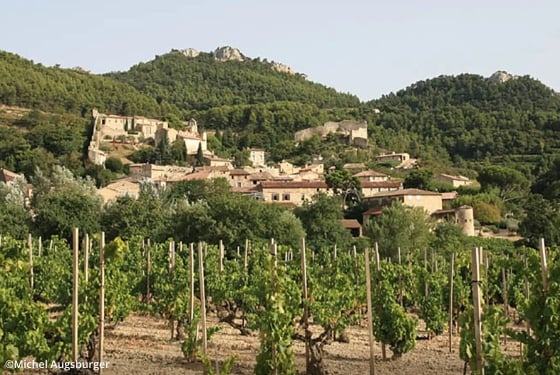 vineyard in a valley below a village on a hillside