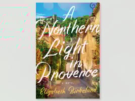 book cover of A Northern Light in Provence
