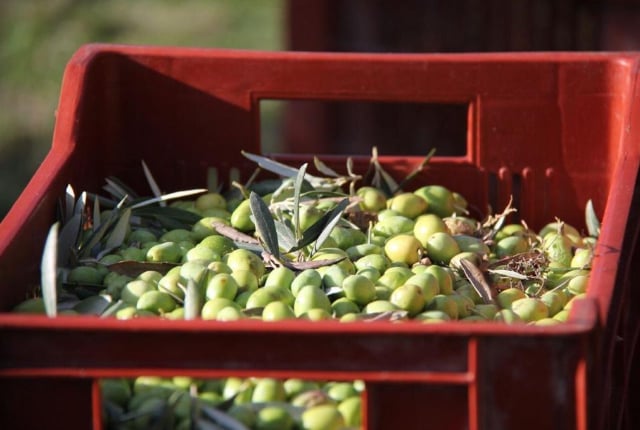Perfectly Provence Travel Lifestyle Magazine