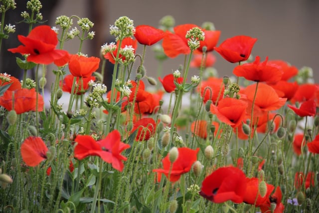 Perfectly Provence Travel Lifestyle Magazine