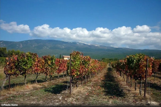 Perfectly Provence Travel Lifestyle Magazine