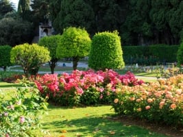 lush green garden with manicured trees and flower beds full of pink flowers
