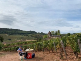 person sitting in field at table painting pictures