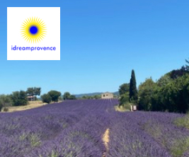 iDreamProvence logo and photo of lavender fields