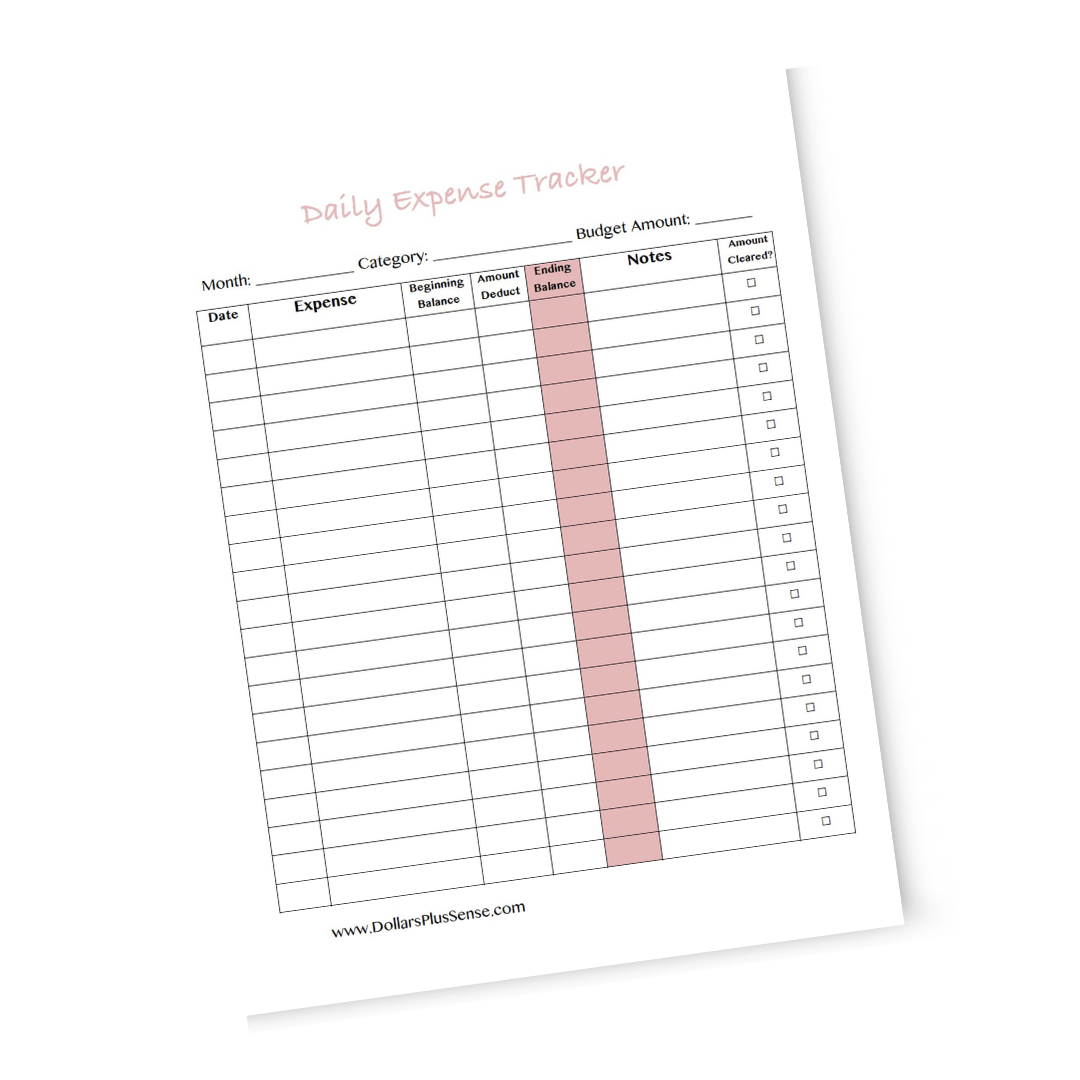 5 Day Budget Challenge