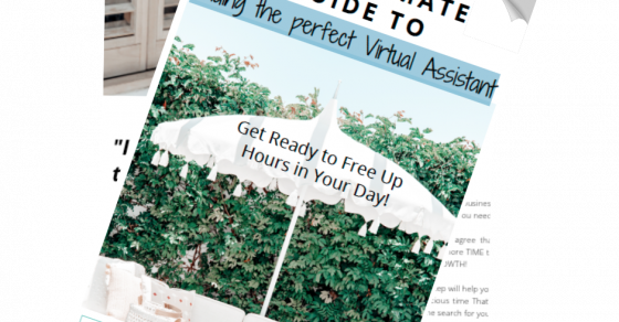 The Ultimate Guide to Finding Your Perfect Virtual Assistant