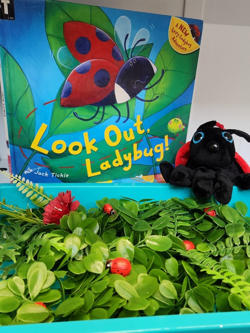 Ladybug Sensory Story Bin for a quiet session