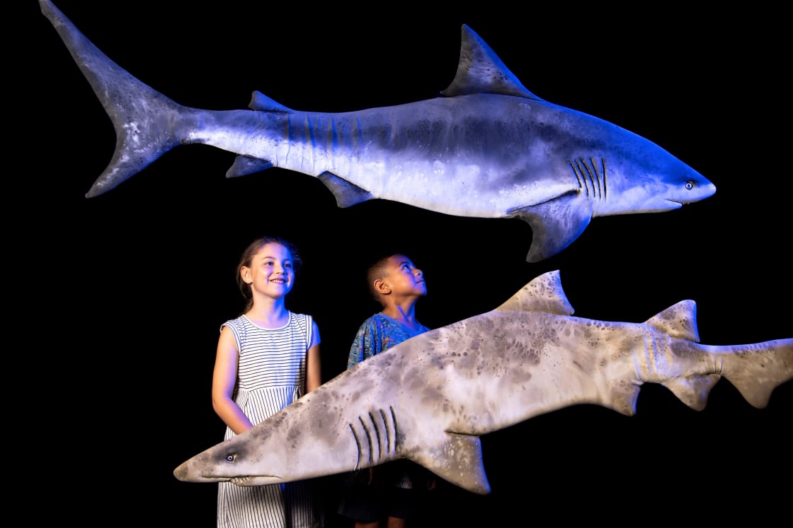 Two children stand side by side against a completely black background, looking up at two large model sharks suspended above them