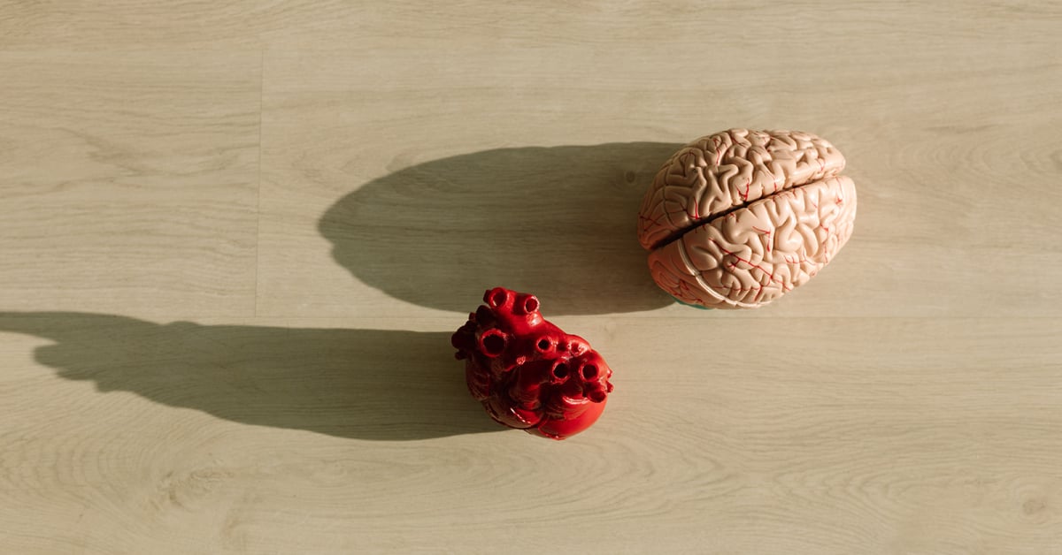 NeuroAgency | Neurociencia aplicada para empresas en Europa y LATAM