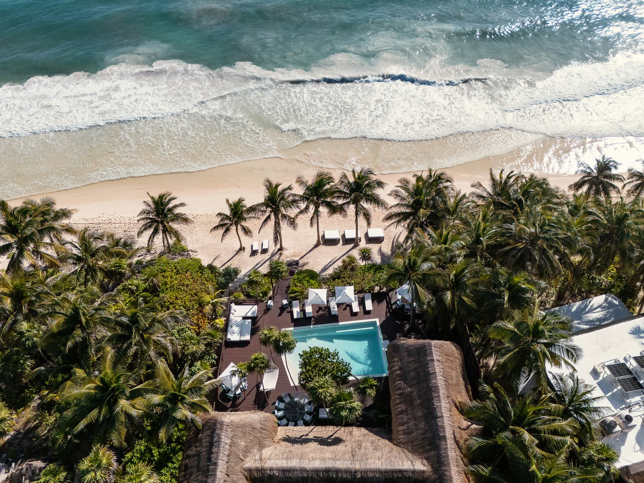 Playa del Carmen Real Estate Newsletter