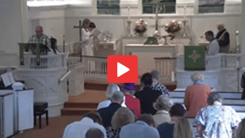 animated video of service