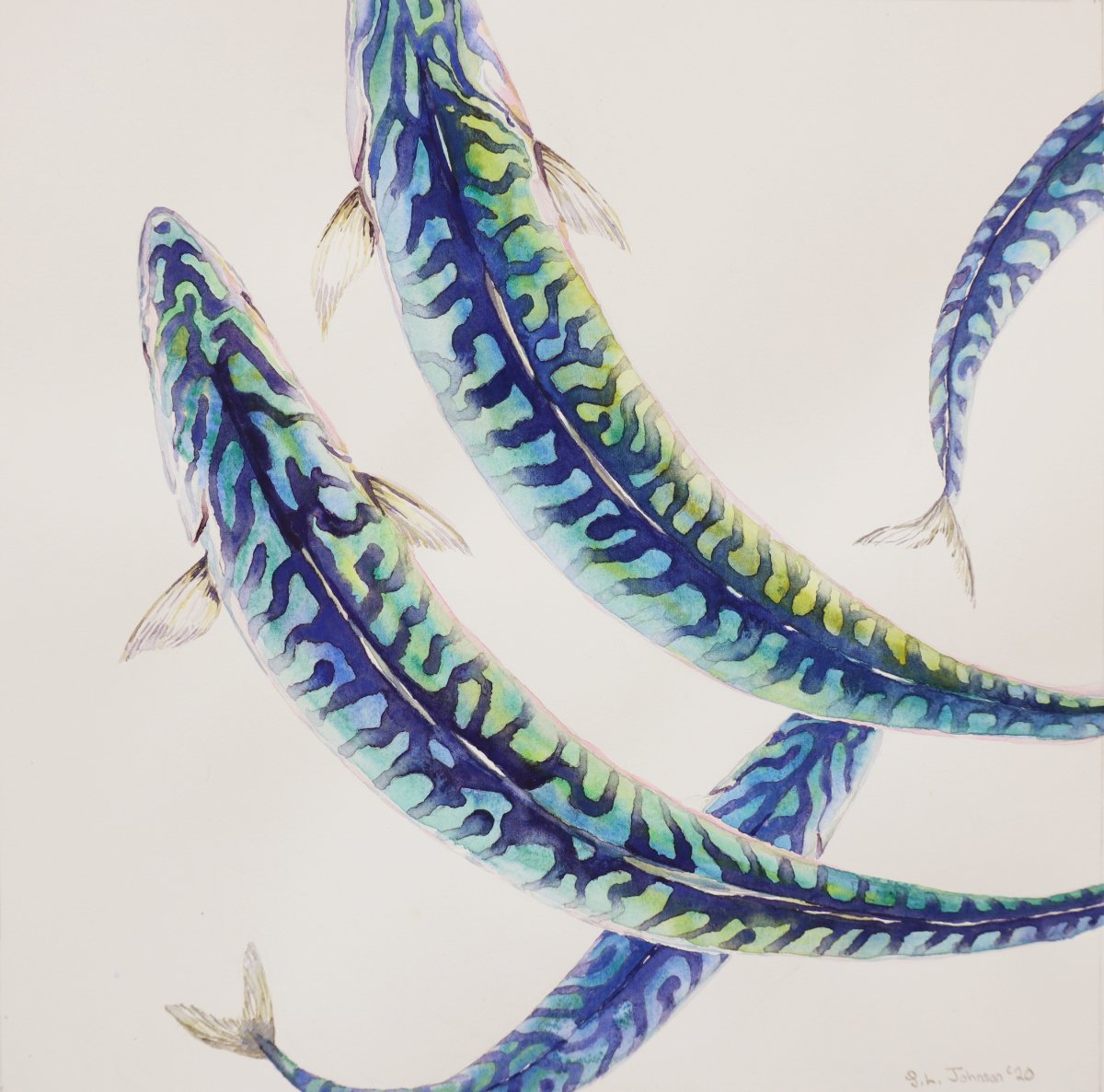 マシューアレン  Watercolor Azure Fish Limited Edition Watercolor Surf Art Print 