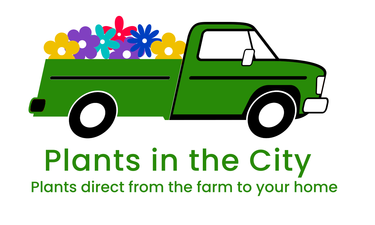 Toddler with Hose Image credit Phil Goodwin, Upsplash. Image has been resized.