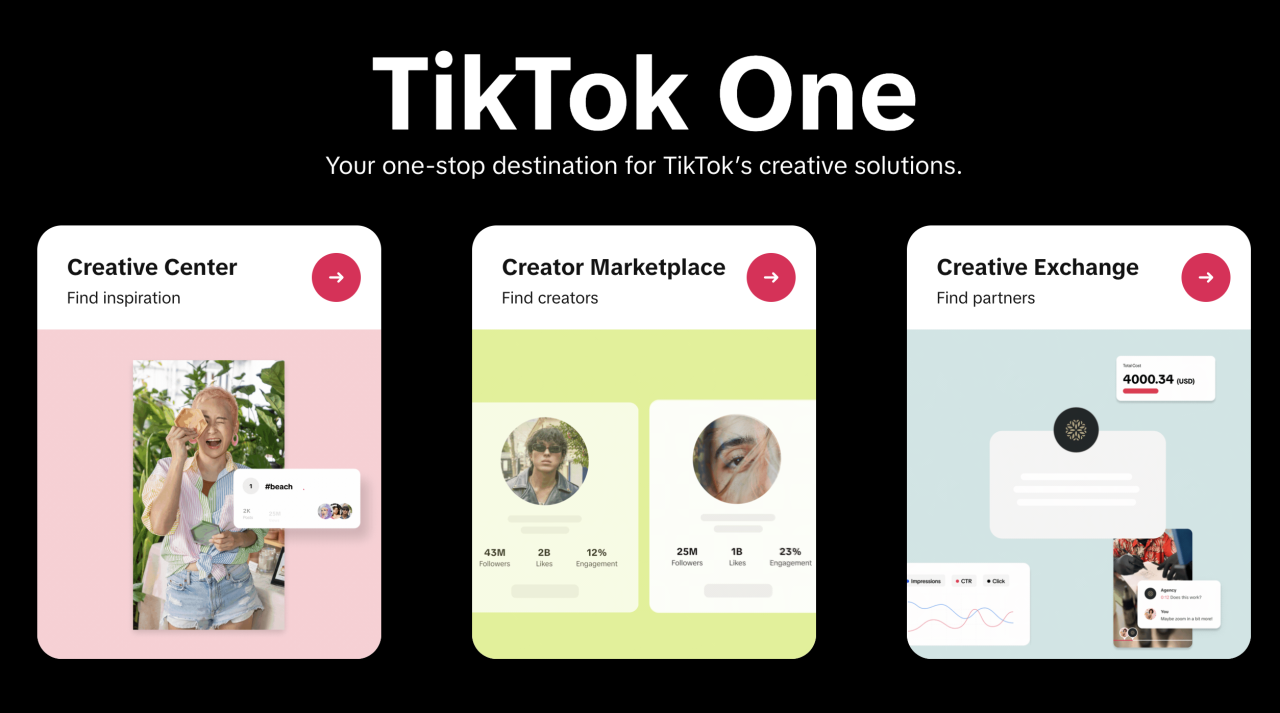 TikTok One