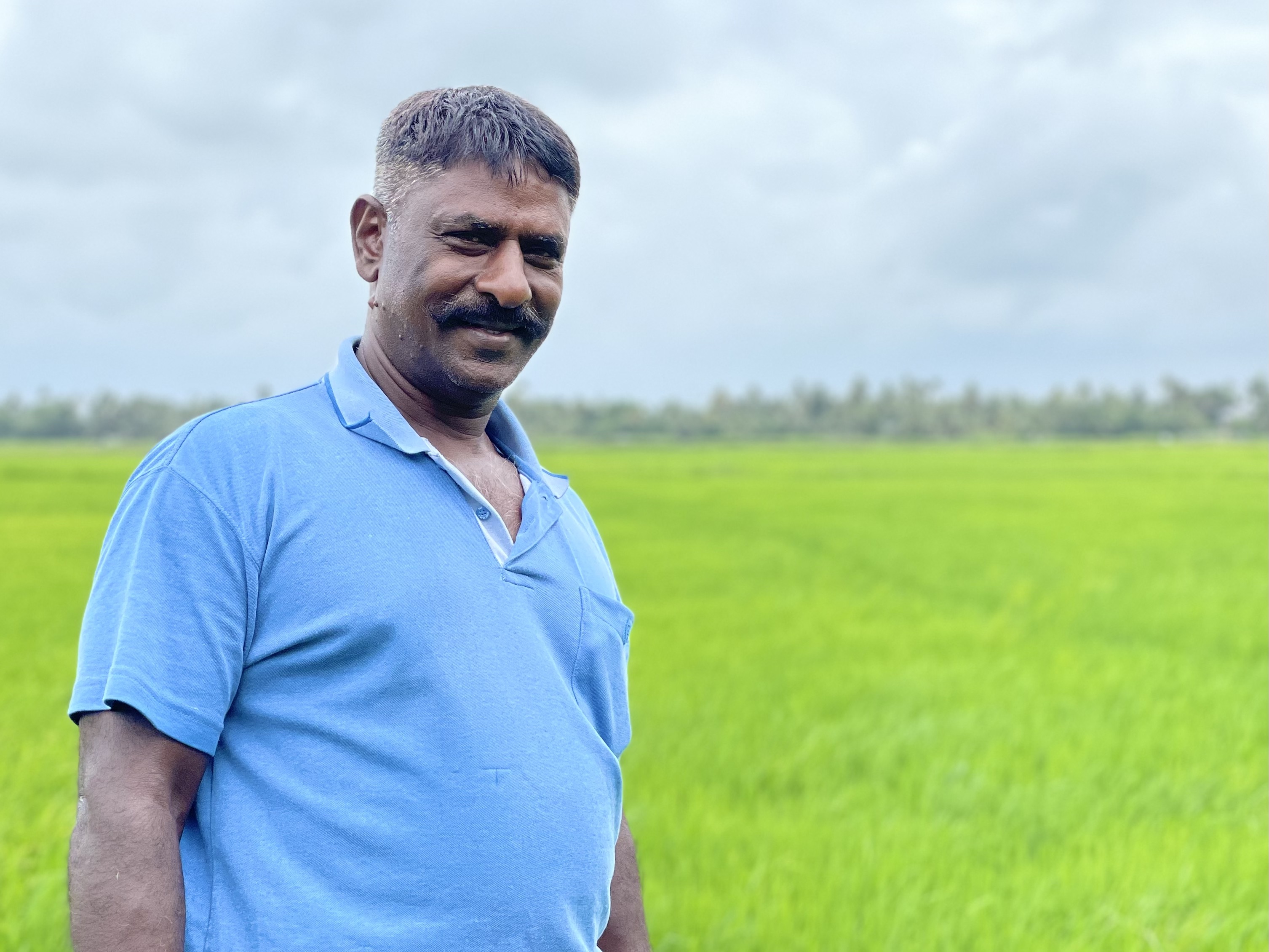 UmmePhotos via Pixabay