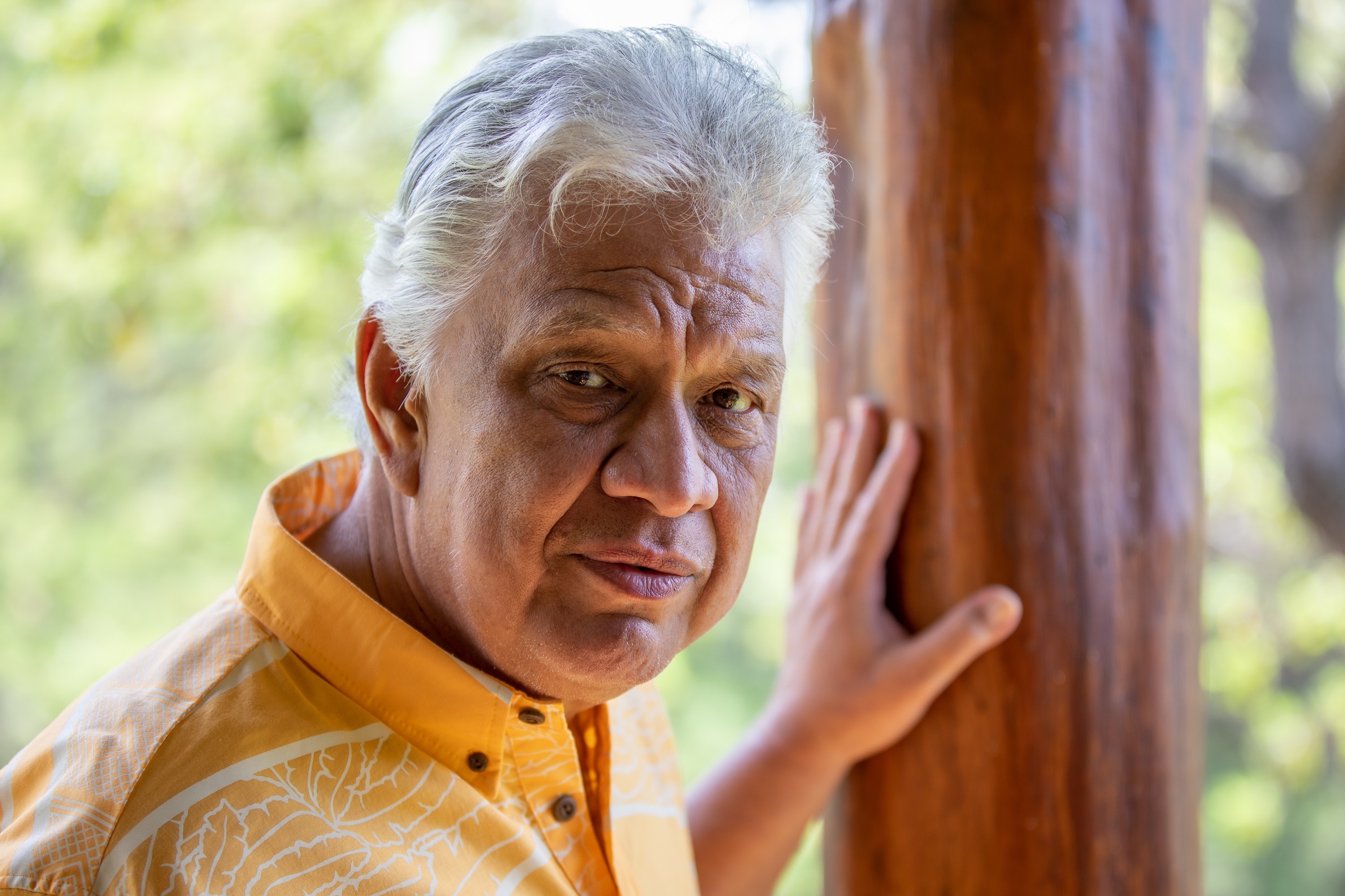 UmmePhotos via Pixabay