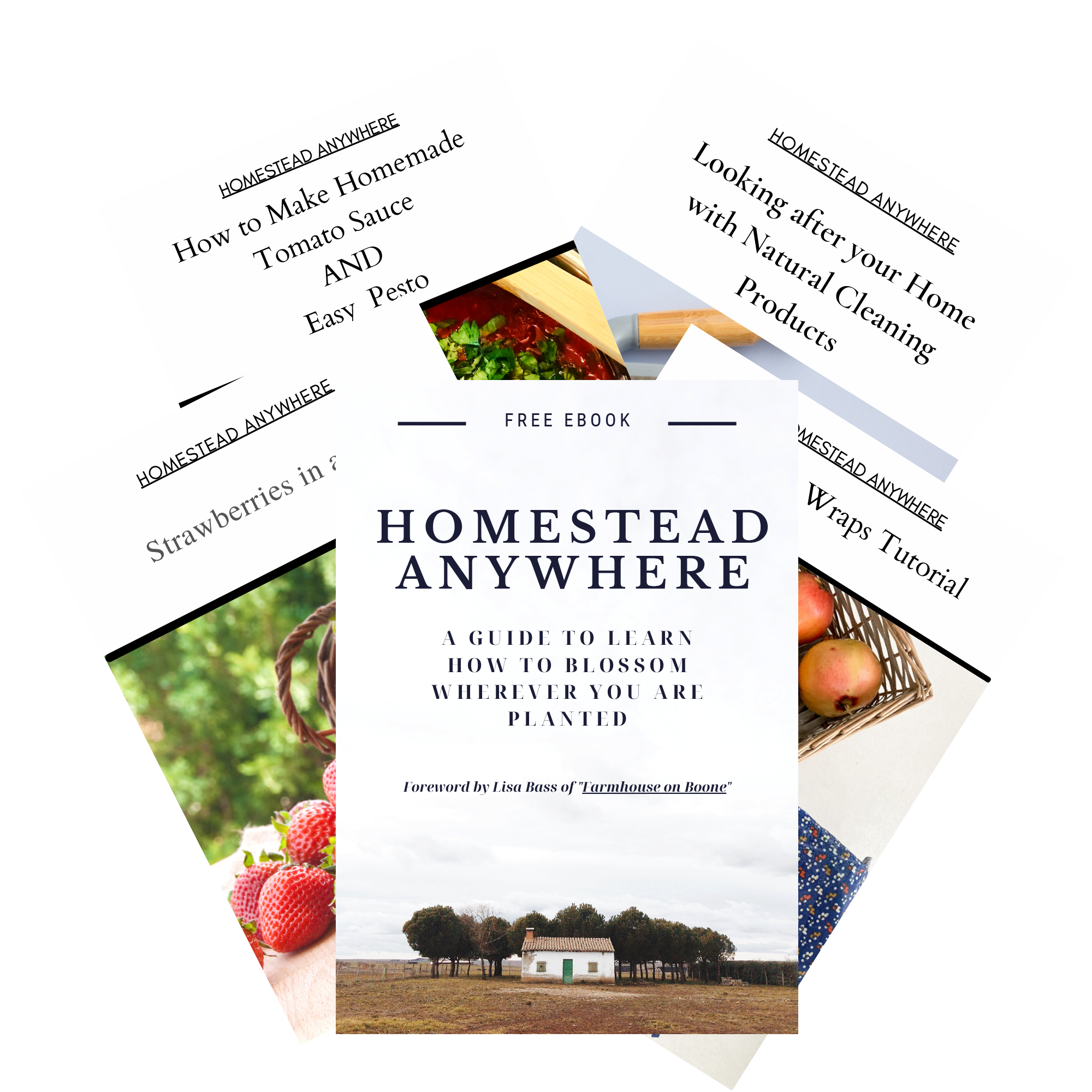 homestead anywhere free downloadable ebook