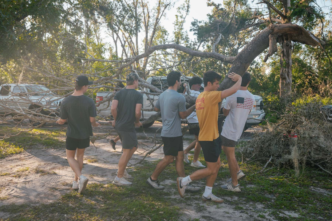 A group of young men work together to lift and carry a large, fallen tree branch across a grassy yard toward a white pickup truck. The sun filters through the background trees, highlighting the collective effort of the group during a outdoor cleanup.