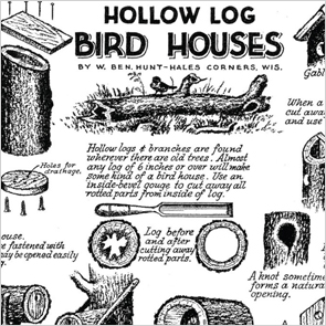 bird house illustration