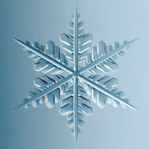 Close up of a snowflake