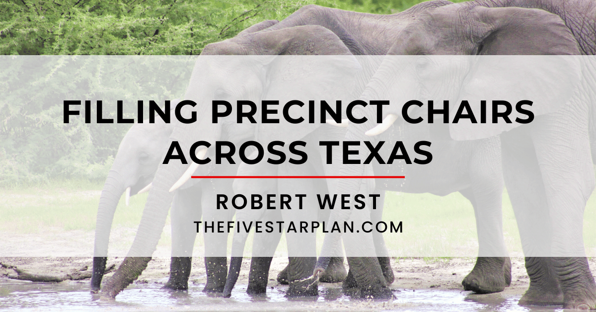 Filling Precinct Chairs Across Texas