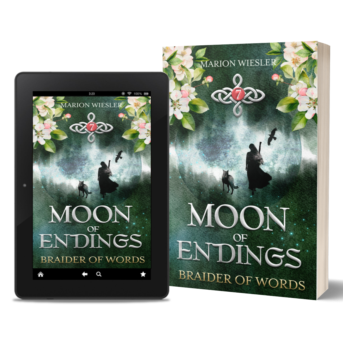 Cover of book 7, Moon of Endings