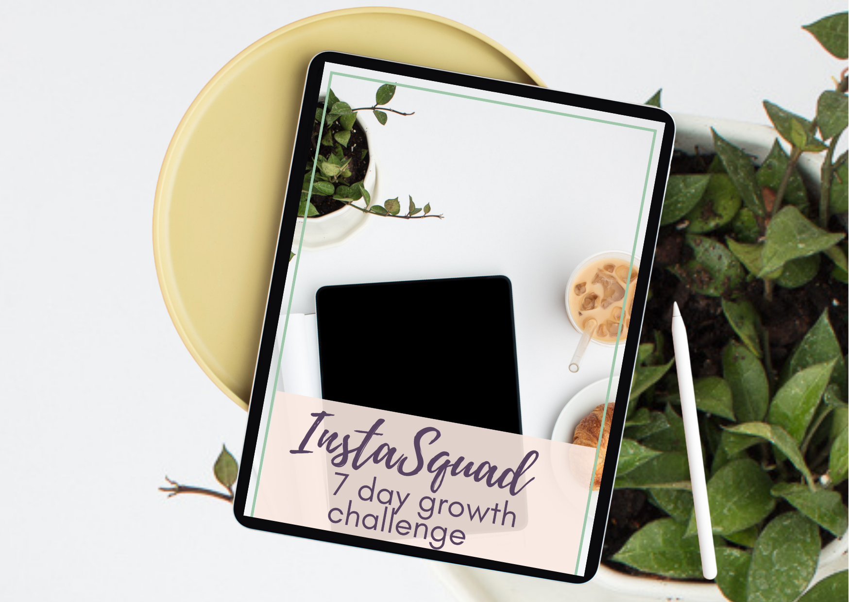 instagram growth challenge