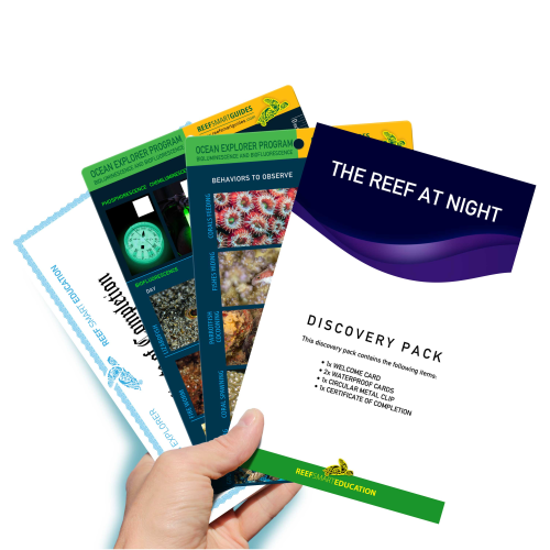 https://reefsmartguides.com/product/the-reef-at-night-discovery-pack/